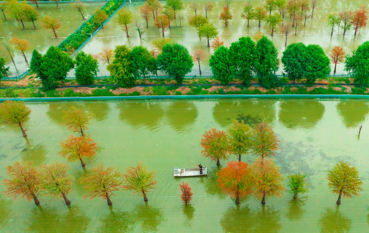 Jiangsu, China tweet media