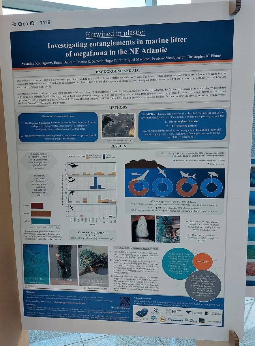 If you are interested in entanglements in #marinelitter of megafauna 🦈🐋🐢🐦 check my poster ID 1118 at the #7IMDC! 

I am not attending the conference in person but @ChrisKPham will be at the #postersession to answer your questions! 

@FRCTAzores @OkeanosUac @AzoMarineLitter