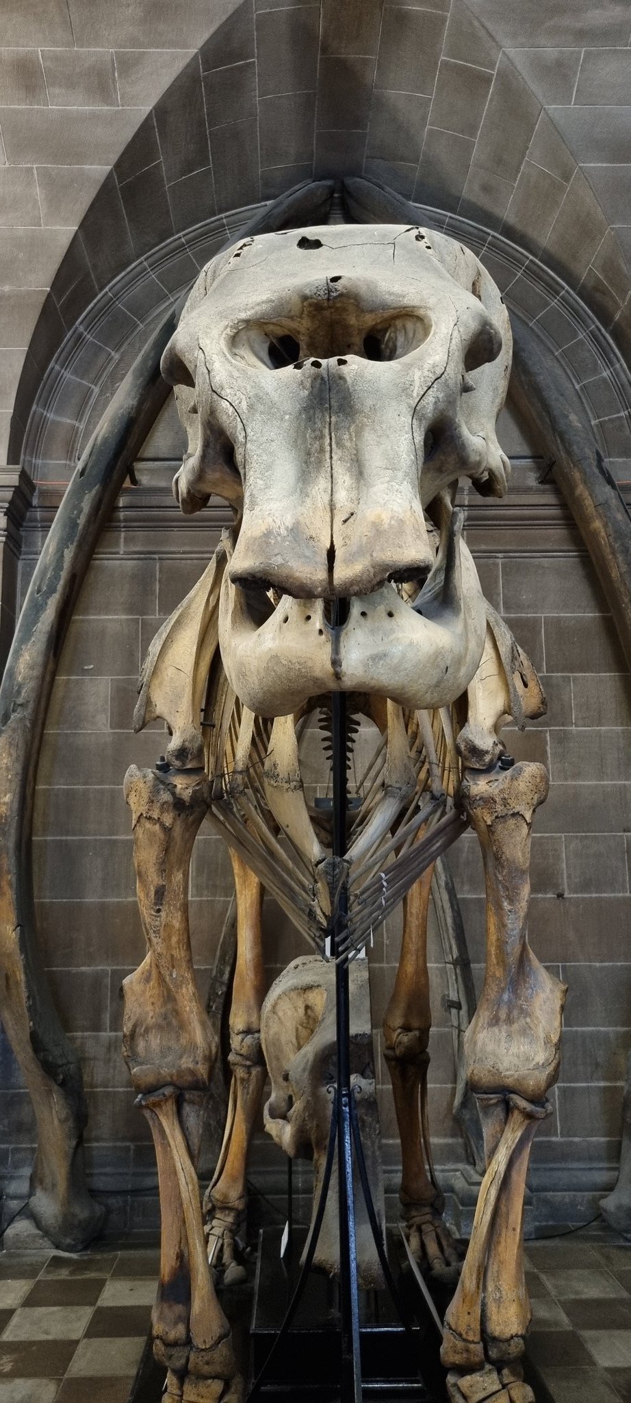 AnatomyEdinburgh on Twitter "A very warm to all our new and