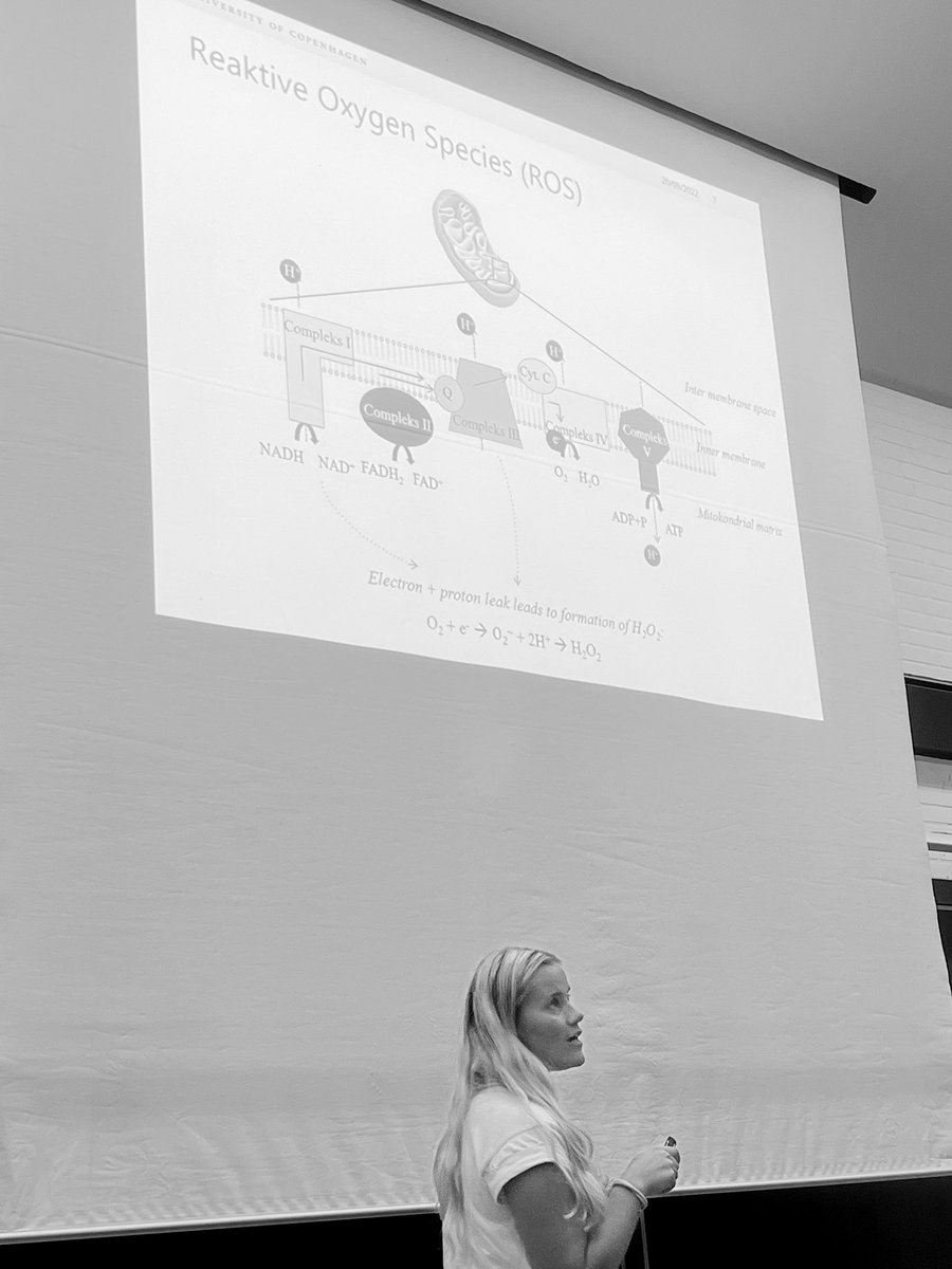 CVgroupNEXS's tweet photo. At our #crosssectional meeting at @NEXSKU , @CamillaVHansen presenting some basics on #mitochondrialfunction measurements and the methods we use in our group. She’s even showcasing her most favorite #etc figure and #electronflow 😉👏🏼🤩 https://t.co/VQXCR8dw13