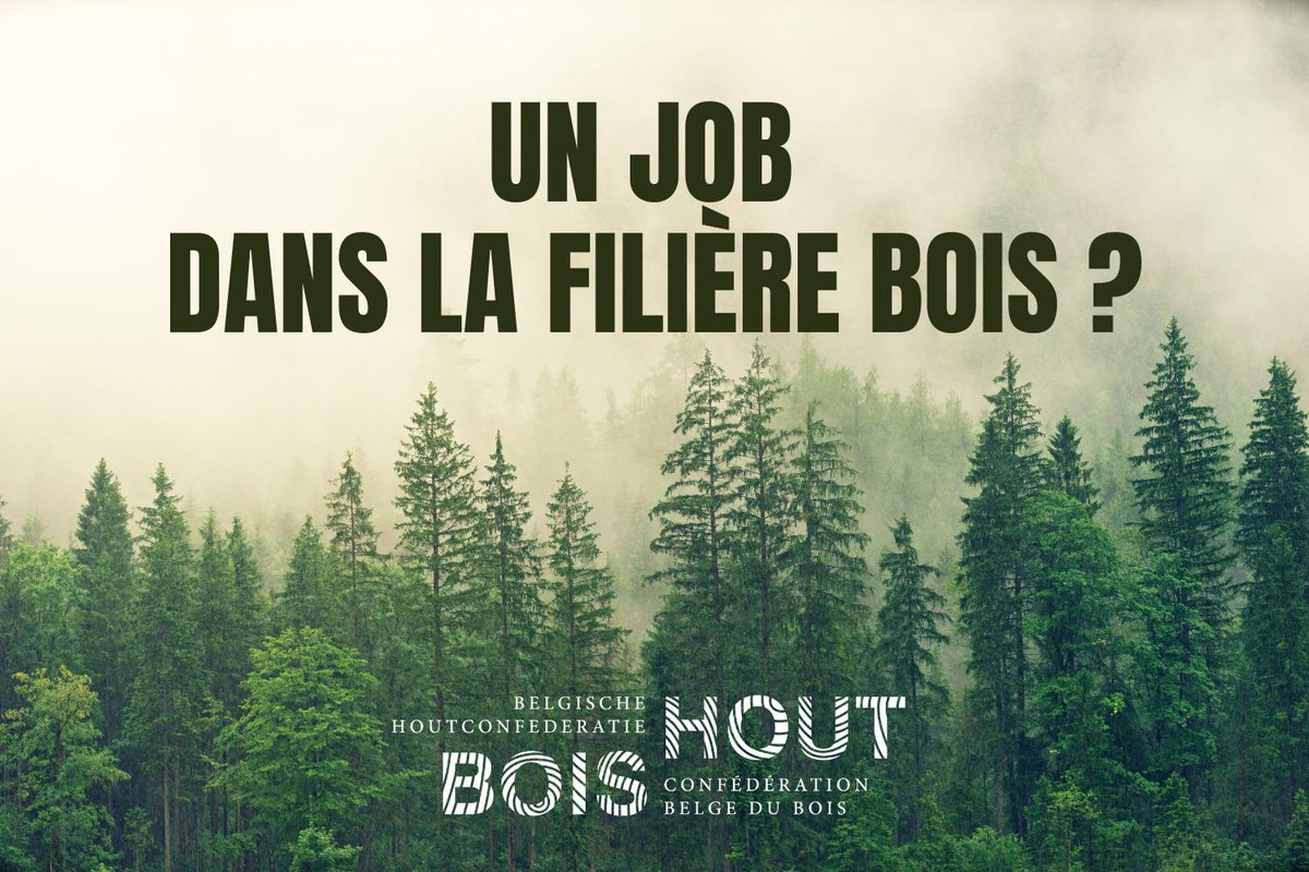 Envie de changement ? Vous êtes à la recherche d’un emploi ou vous connaissez quelqu’un dans le cas ? Découvrez des dizaines d’offres d’emploi dans la filière bois sur confederationbois.be/job/
#Job #Emploi #travail #bois