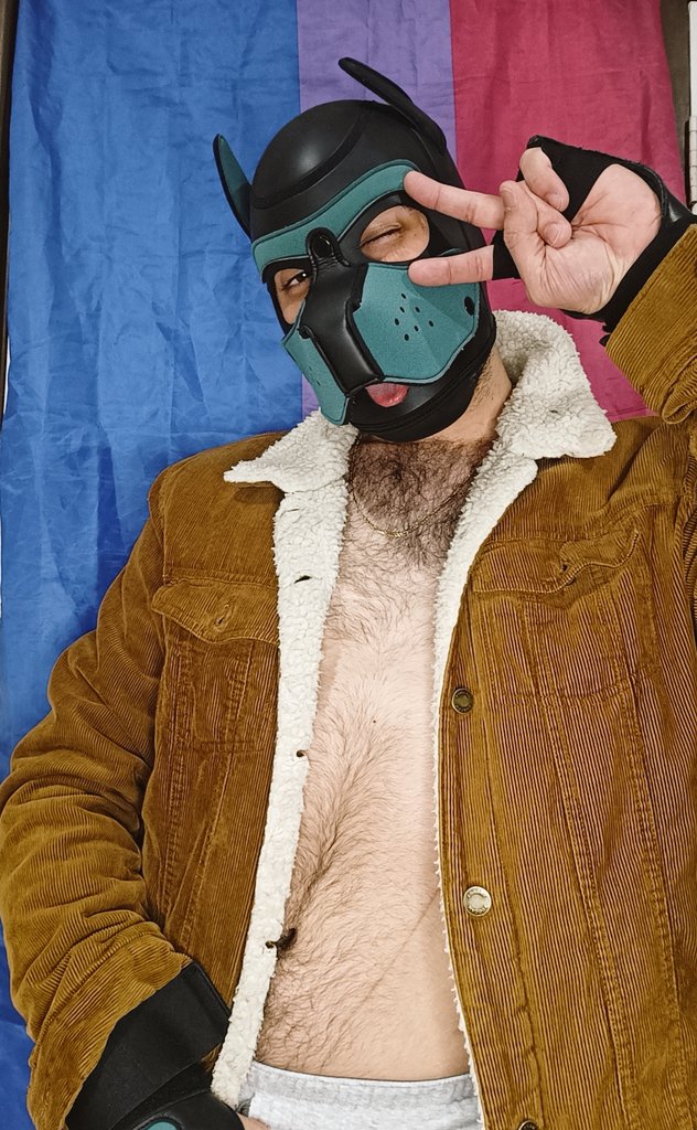 PTerran97's tweet photo. Bork Bork! (Hey y'all! It's Bisexual awareness week! Don't forget to be on the look out for bi puppers and bi peeps as they are everywhere!)
#bisexualawarenessweek #bisexualawareness #bisexual #bipup #biandproud #bimen #bipeople #dontspeaktomeormybisonagain https://t.co/0XzwsqANEb