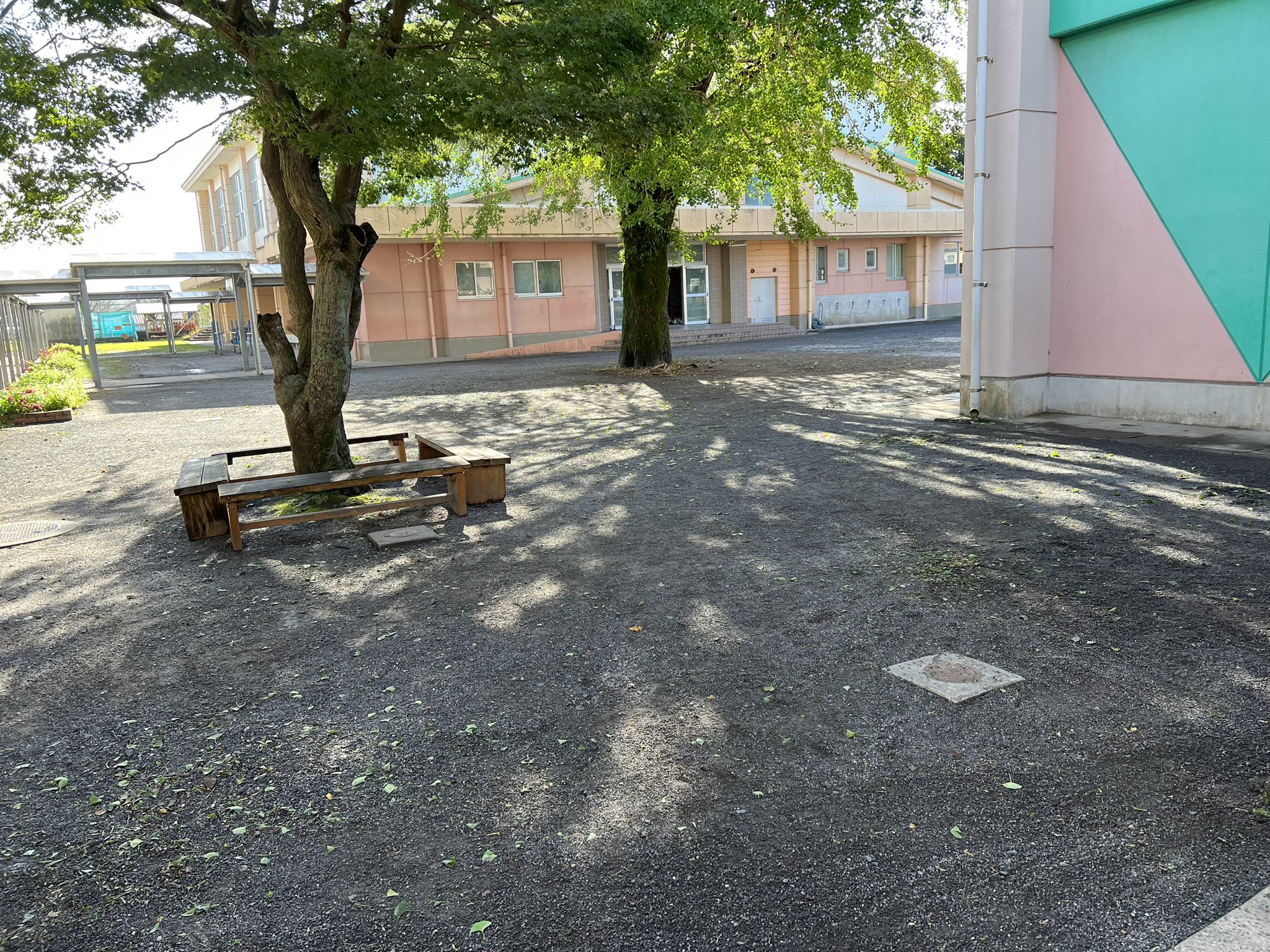 鹿屋市立田崎小学校 (tasaki_esc) / Twitter