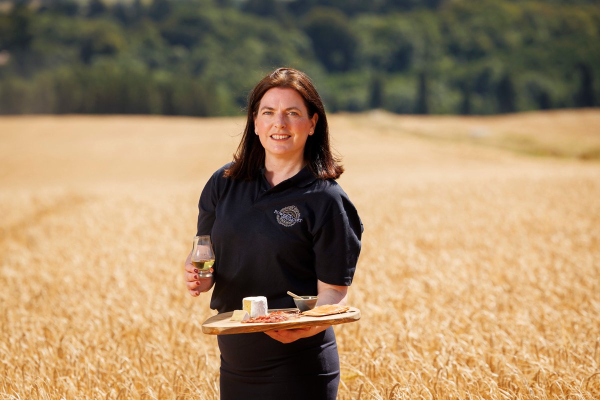 Harvest Festival at Powerscourt Distillery - Saturday 1 October

Visit Powerscourt Distillery to enjoy the best of Wicklow’s culture, food &amp; drink with markets, panel discussions, Fercullen Irish Whiskey and plenty more

eventbrite.ie/e/harvest-fest…

#IrishWhiskeyHarvest