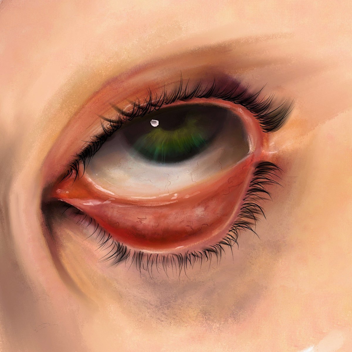 Tiplouf ｡˚ ⁀➷ tweet media