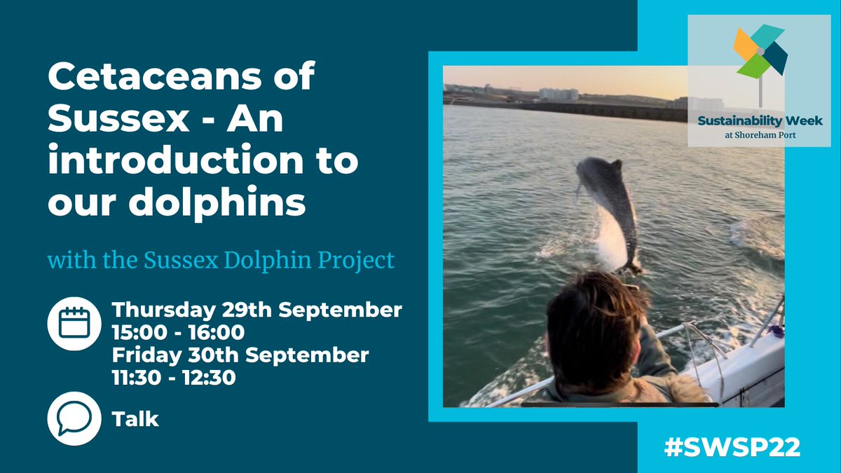 shoreham_port's tweet photo. Take a deep dive with the Sussex Dolphin Project into dolphin ecology, their amazing adaptations to life underwater and how they see and communicate π https://t.co/WPnMZXVgT1
#SWSP22 @BDP_WCA https://t.co/oMCmNEwC35