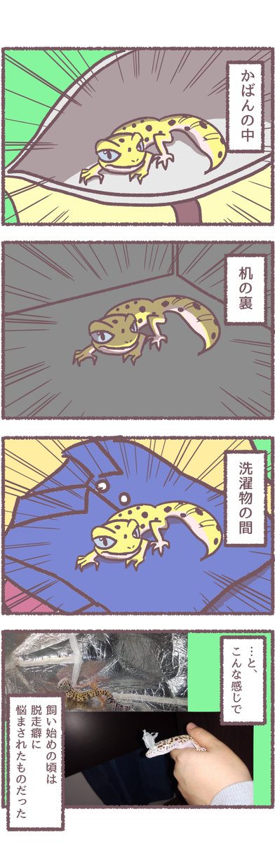 以前描いた動物漫画シリーズ(カメやレオパードゲッコーもおるよ🐢🐢🦎) 