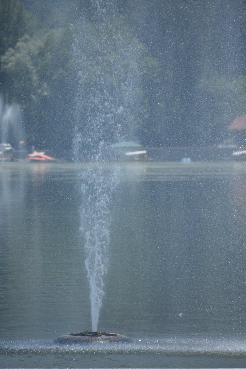 gulshan_akhter's tweet photo. #NaturePhotography 
#BeautyInEverything 
#dallakeview
#water https://t.co/Nh5Y2RfDtL