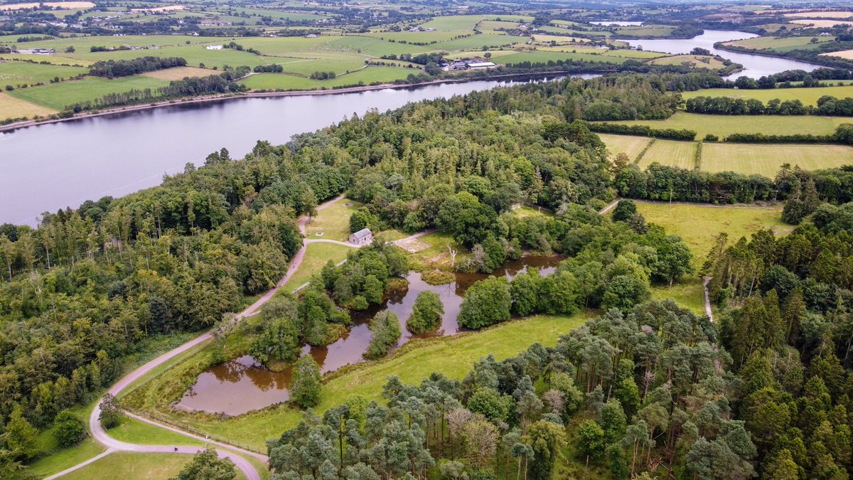 Zipit Farran Woods tweet media