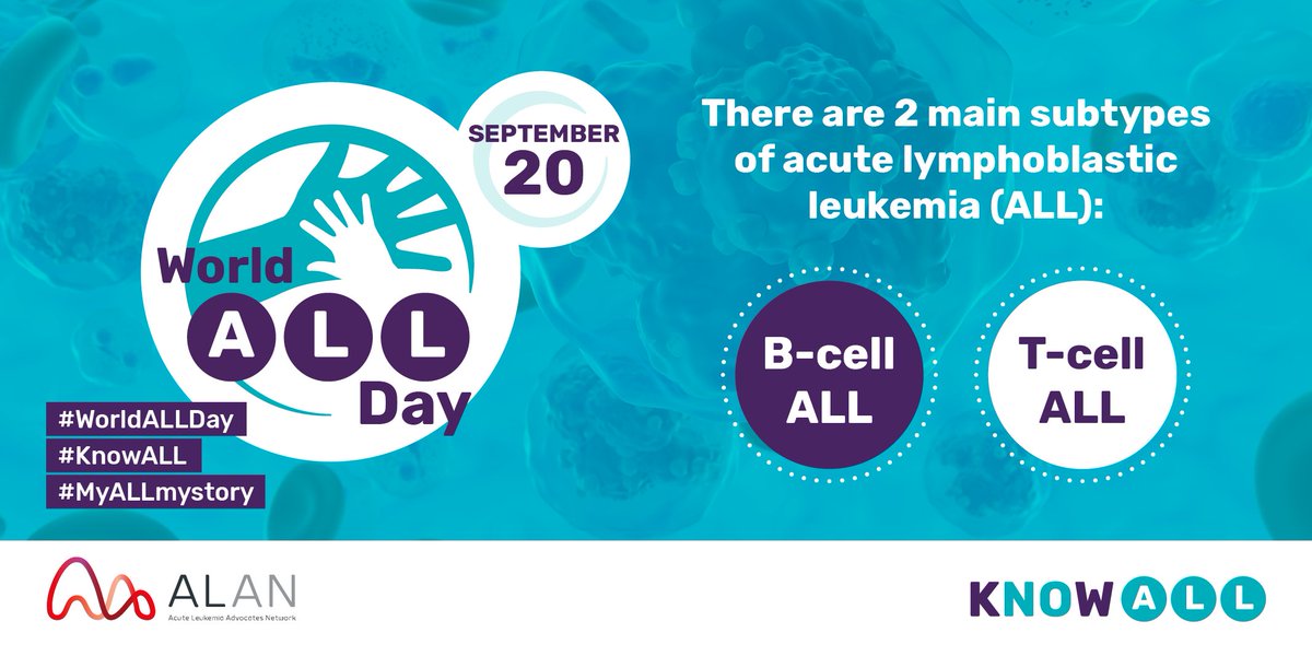 _KNOW_ALL's tweet image. 💭Did you know #ALL can be classified into 2 main #subtypes? 

🟣B-cell ALL 
🟣T-cell ALL 

👉These can be further classified based on changes to the chromosomes/genes found in #leukemiacells. 
 
Learn more here: loom.ly/yeYVa0w #KnowALL #WorldALLDay #MyALLmystory