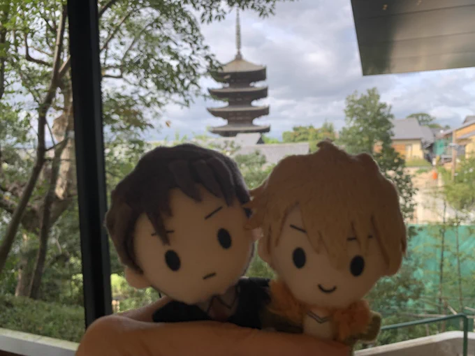 米蔵先生とアシのパルコちゃんと京都に取材旅行に来ました古の小学校を改装した素敵なホテルまさかのいいお天気で猫さんも日向ぼっこや〜 