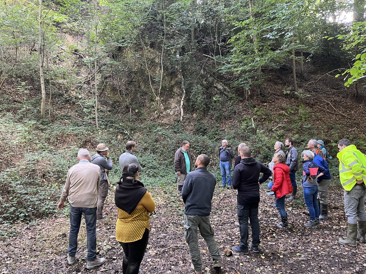 Field trip in the Belgian Mons Basin organised by the Geological Survey of Wallonia @Wallonie_SPW. Here the Namurian. This trip is guided by Julien Denayer and Bernard Delcambre. #geology #wallonia