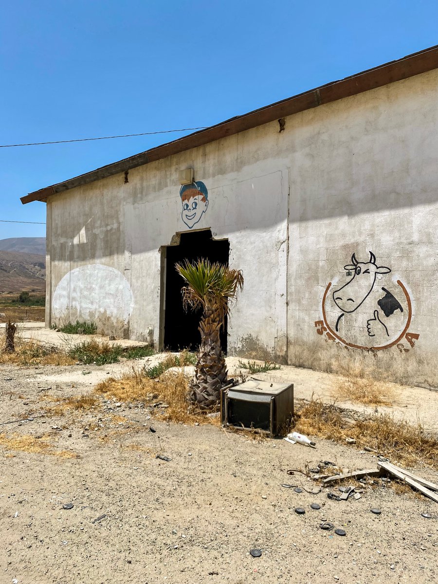 thedividingline's tweet photo. #ThumbsUp.

#Tijuana #UrbanPhotography #StreetPhotography #Old #Abandoned #Jersey #LecheJersey #Wherehouse #Ruins #Wondering #Exploring. https://t.co/KYH9KC37wC
