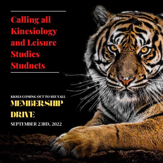 freckkleface26's tweet photo. If you have a major or minor in kinesiology or leisure studies come join us this Friday ππ€ @GramblingKsls #KSLSGSU #KSLSTakeOver #GramFam #gramfam26 #Gramfam25 #GramFam24 #gramfam23 https://t.co/115lkklEgn