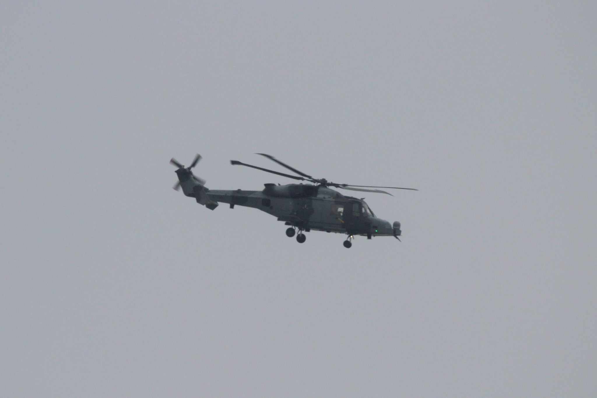 lewis-on-twitter-wildcat-following-the-m6-heading-north-over-leyland