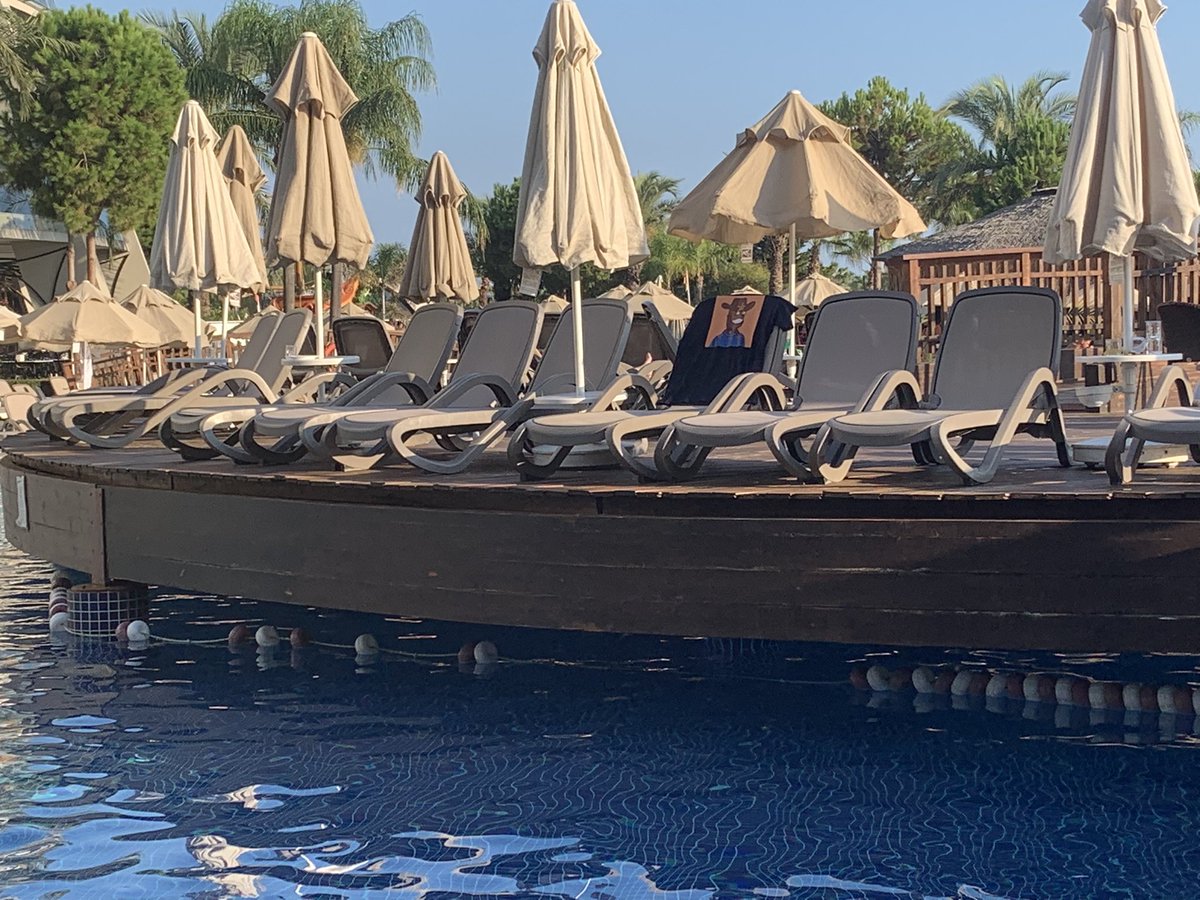 Peckham27's tweet photo. @REBEL_BOTS @GuildToEarn 

A #RebelBot has been found by the pool. What a #LazyBot 

#NFT. #Ethereum #BetaTesting. 

First #NFT T-shirt print https://t.co/qnNDgifsDP