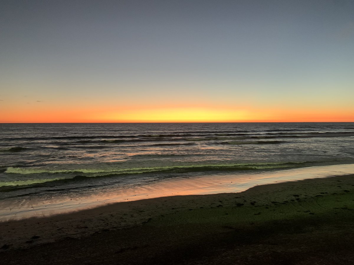 GaborKemenesi's tweet photo. Great talks, beautiful place and finally a real meeting with colleagues from the Mühlberger lab at the #filovirus symposium, #SanDiego. Can’t wait to present an update of #lloviu virus on wednesday! #filovirus2022 🦠🦇 https://t.co/Ez5DWMIh86