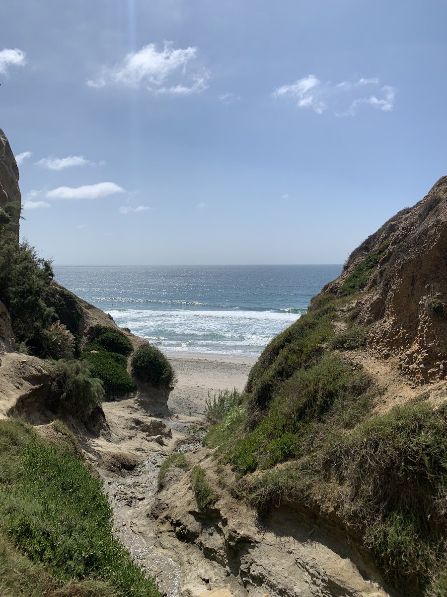 Great talks, beautiful place and finally a real meeting with colleagues from the Mühlberger lab at the #filovirus symposium, #SanDiego. Can’t wait to present an update of #lloviu virus on wednesday! #filovirus2022 🦠🦇