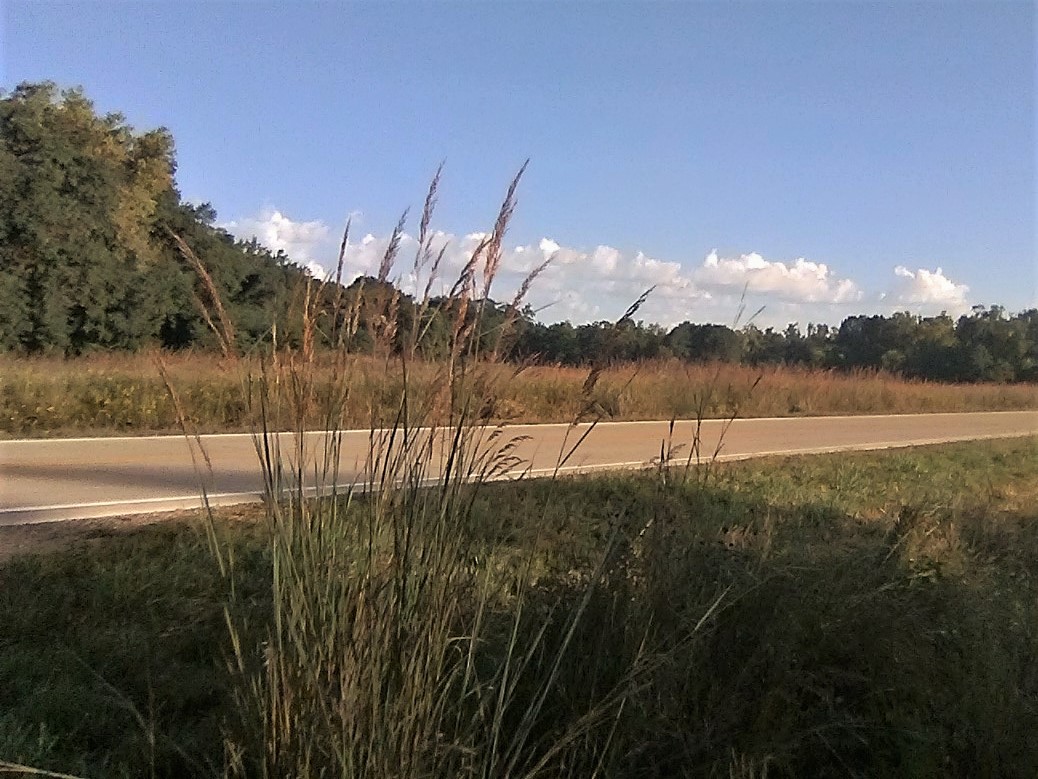 SwedeNoyd's tweet photo. This was my Tuesday Morning Coffee Spot along a Country Road. Very Quiet &amp; Serene with the Summer Clouds starting to form https://t.co/jYKIaoRiaE