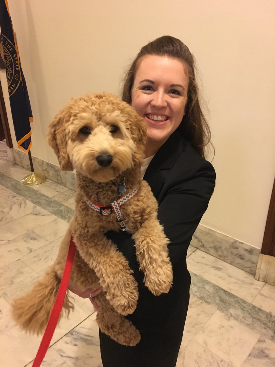 TheDaniSheehy's tweet photo. @SenatorFischer office for our meeting and thank goodness I ran back into #FredFischer #FunwithFred #bipartisansenatepup #201720192022 #ONSAdvocacy https://t.co/ypjzBRKS5X
