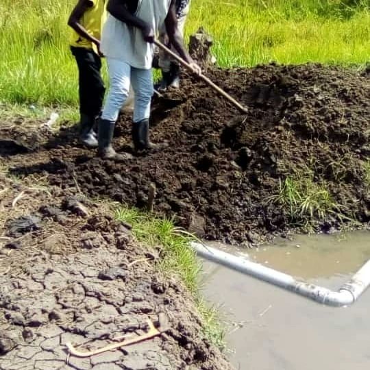 PRACAquatics's tweet photo. What seems hard in fishing Prac Aquatics limited makes it easy for You.For consultancy and rearing system construction (Pond or cage,etc) services and all Agriculture inputs
Call +256700339000 or
WhatsApp +256701972215 https://t.co/FTmzJpecsF