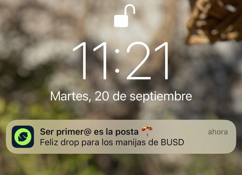 Lemon Argentina tweet media