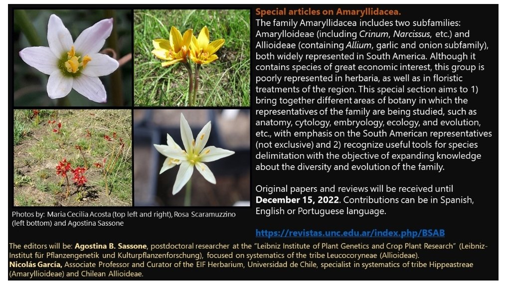 NoraOleas's tweet photo. Convocatoria a número especial: Amaryllidaceae. https://t.co/e4trJXIRuw https://t.co/yntSbjZHyP