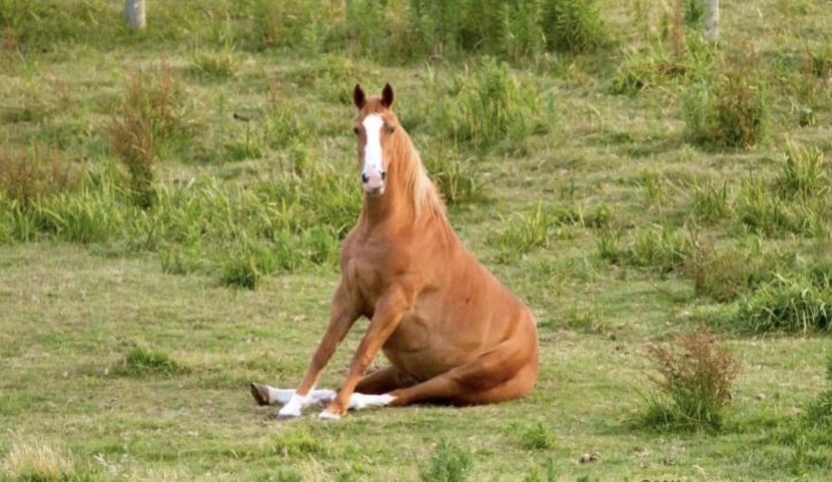 Morning Brew ☕️ tweet media