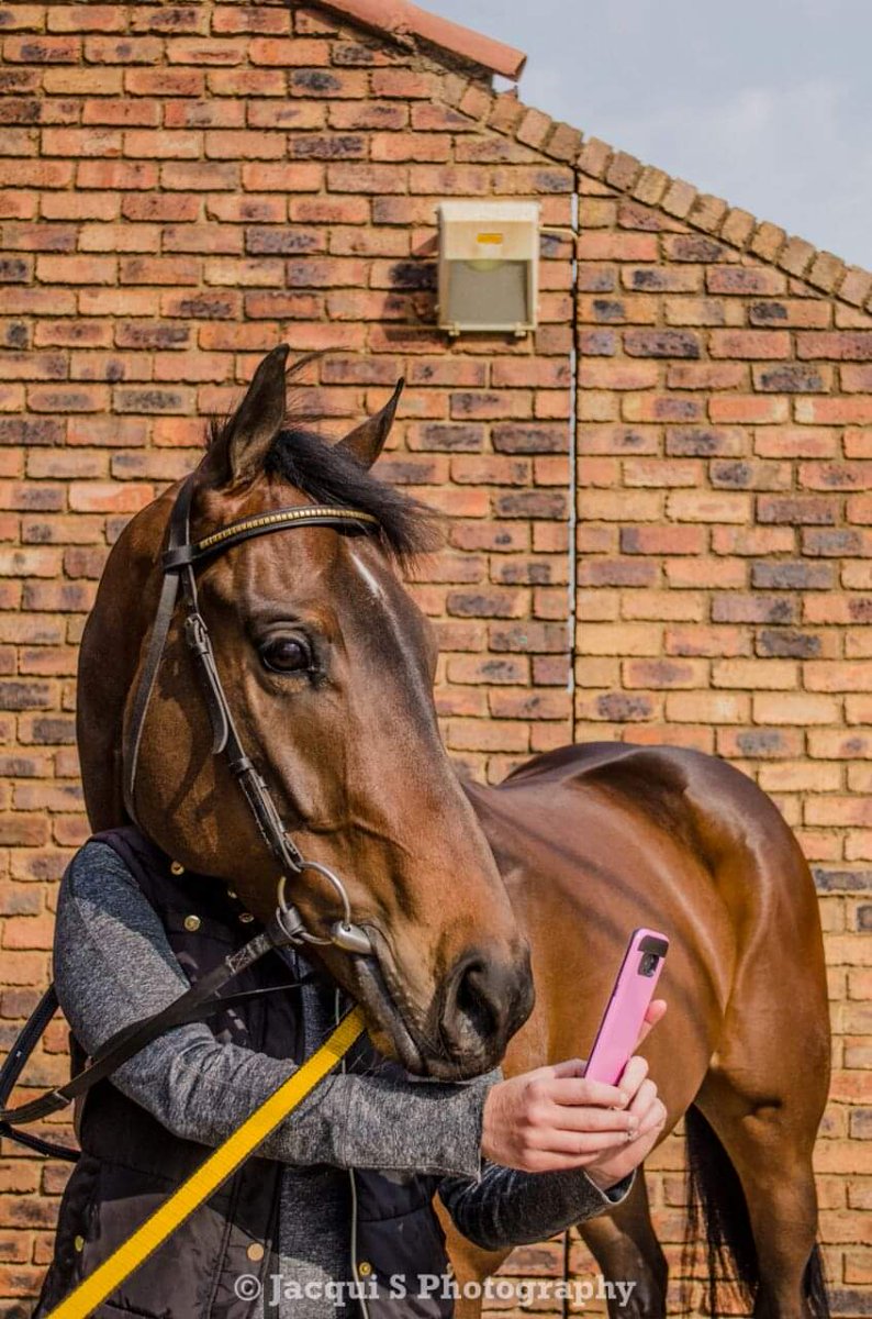 That time we interviewed <a href="/GaryAlexRacing/">Alexander Brothers Racing</a> about their stable star at the time, 7-time winning Kangaroo Jack &amp; we still can't work out whether it was Jack or myself who took the selfie! Photo by <a href="/EquilifeSa/">Equilife</a>