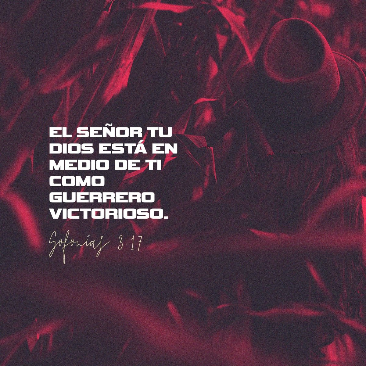 laondiviela's tweet photo. Bendecido día ❤ https://t.co/icsNGX9mMV