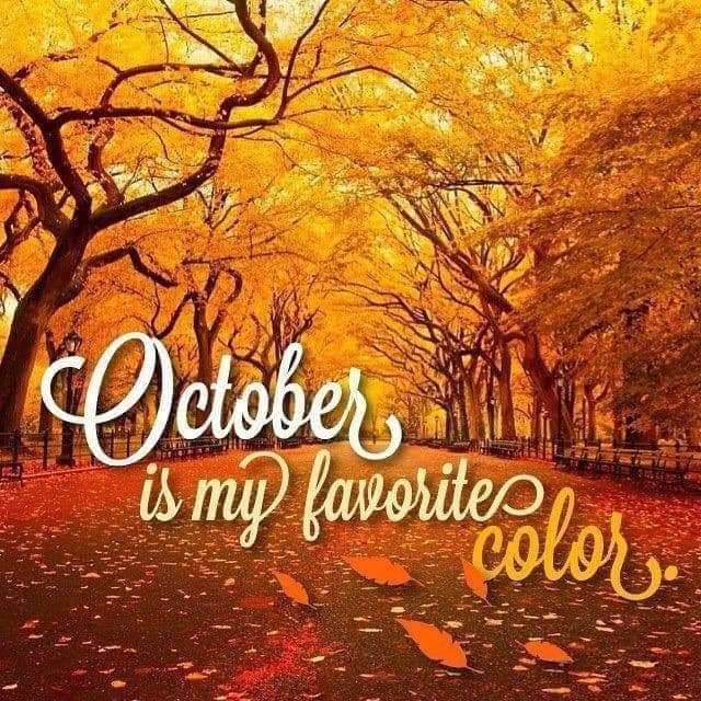🍁🍂🍁🎃🍁🍂🍁