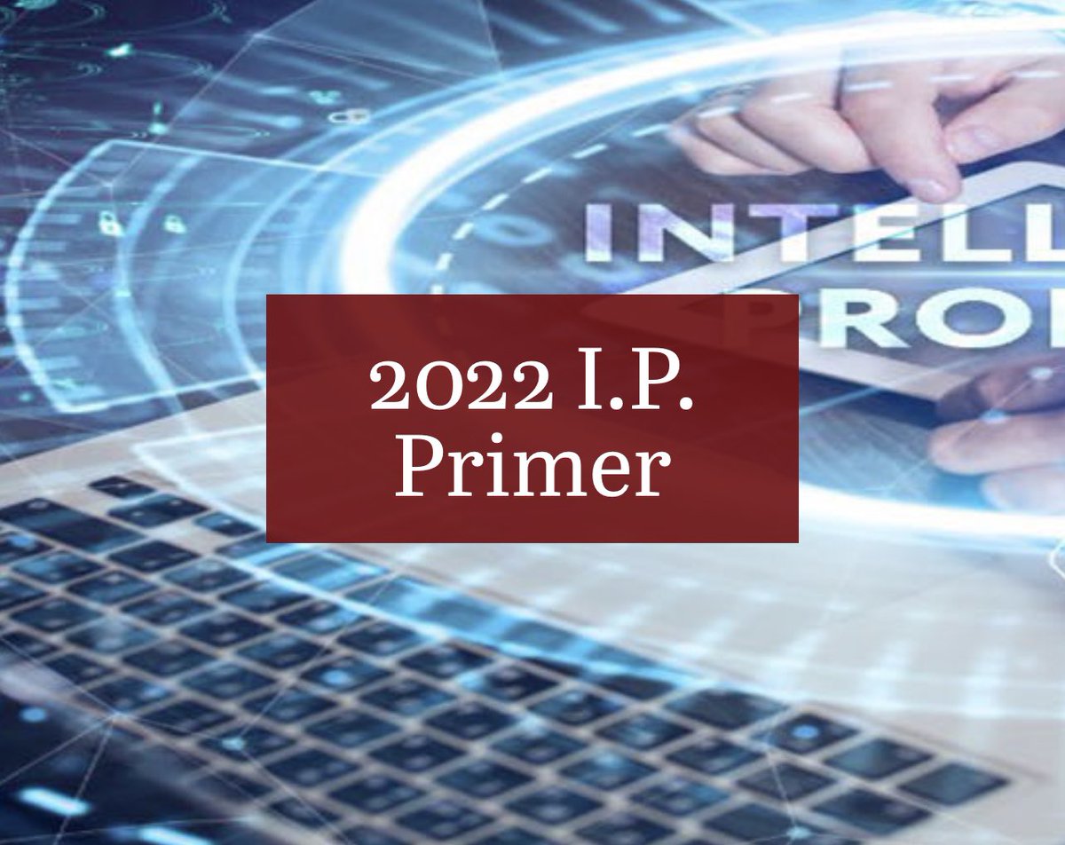 Understanding the rudiments and intricacies of intellectual property issues is critical in this day and age.  <a href="/FarukiMediaLaw/">@FarukiMediaLaw</a> recently published an IP Primer to provide clarity when considering these issues. Check it out here:
lnkd.in/gDi5xv-3
 #ip #litigation