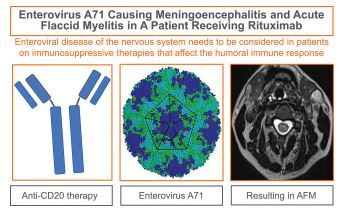 kmess44's tweet photo. J NeuroImmunol: Case report of enterovirus A71 acute flaccid myelitis in an adult on rituximab. Though >90% of #AFM cases seen in young children, important reminder to consider #AFM in pts w humoral immunodeficiency #EVA71 #EVD68 @Reovirus @DrDanPastula https://t.co/dznXfZlEuq https://t.co/6usa4Da5aa