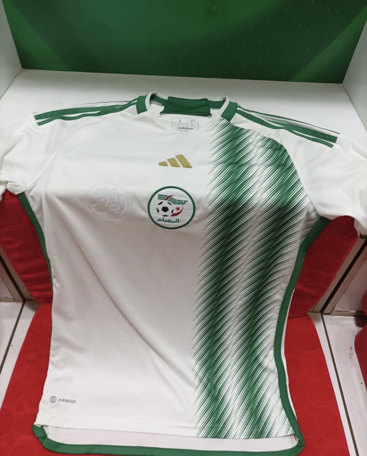 Algérie Football Média 🇩🇿 on X: "Notre nouveau maillot 😍💚🇩🇿  https://t.co/Gvmj69MxBy" / X