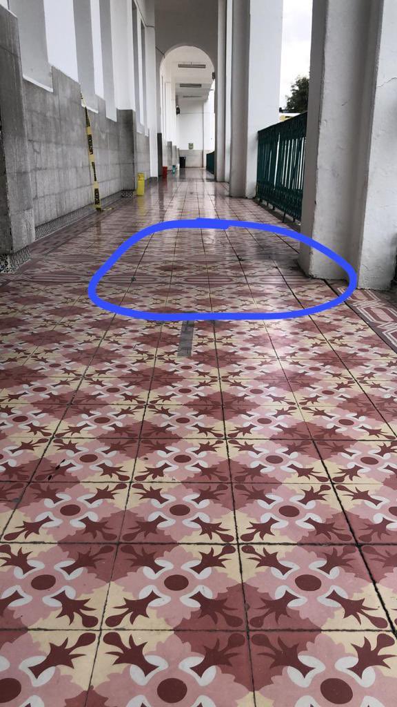 enriquez_nes's tweet photo. Apoyó para visitar la escuela secundaria #10 de la alcaldía Benito Juárez, presenta daño en la estructura sin que haya Sido visitada por autoridades de protección civil @NoticiasImagen @franciscozea @CanalOnceTV @AlcaldiaBenito @Claudiashein @martibatres https://t.co/ewgJ2ZEIV2