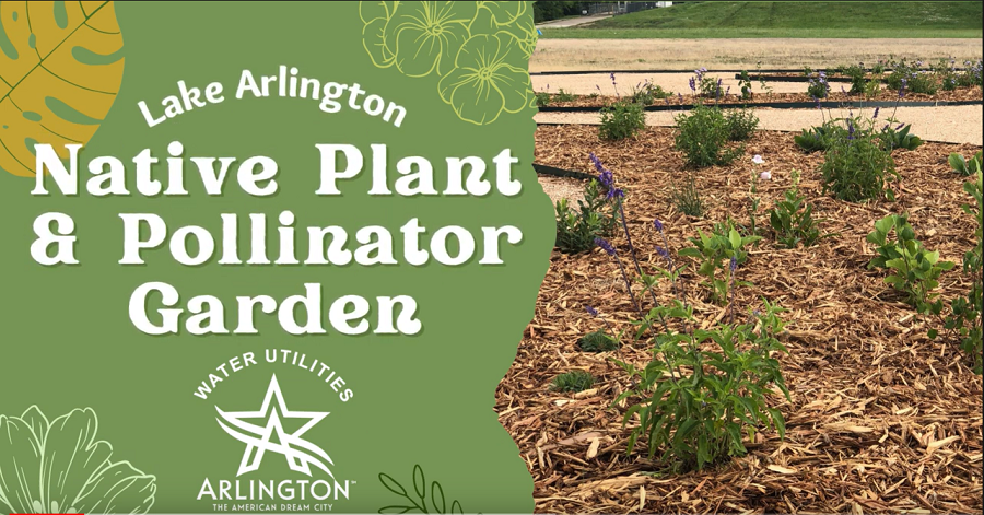 Arlington Water tweet media