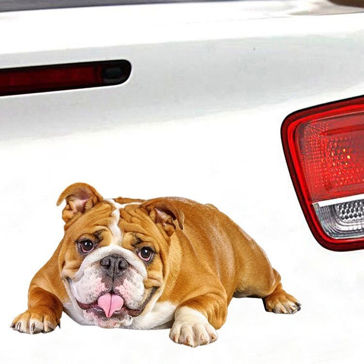English84773387's tweet photo. Who need english bulldog car sticker?
Comment below !!!
Order Yours Here :https://t.co/Bw0nmS7Iau
#sticker #bulldogsticker #bulldog #bulldogsofinstagram #bulldogs #bulldogpuppy #bulldogfrnces #bulldogingles #frenchbulldog #bulldoglove #bulldoglife https://t.co/xH860jCmwb