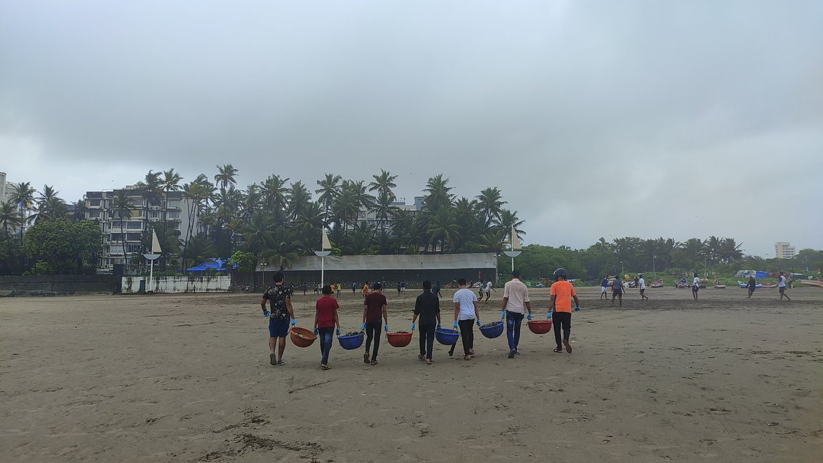 gullyclasses's tweet image. Last Sunday, we collaborated with Being Child Care, who organized Juhu Cleanup Drive, We expected 100+ volunteers, but due to heavy rain on Sunday mornings, 35 Volunteers joined. 

@DEFindia @OsamaManzar @poojadesaid @mybmc @4ocean
#JuhuCleanup #Gcf4Environment #Mumbai #Gcf