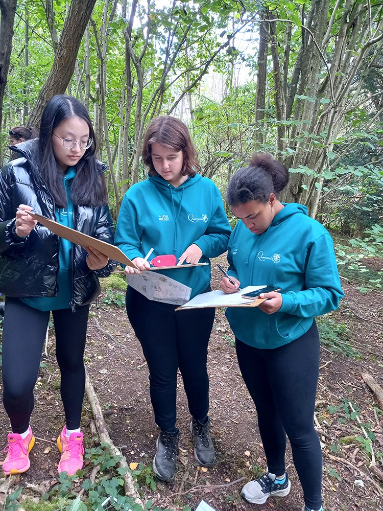 QueenswoodSch's tweet photo. It's Day 1 of the Year 13 Biologists’ field trip to @FSCJuniperHall , where they are conducting a Woodland Biodiversity study.  It includes mark recapture and a comparison study of a coppiced and mature forest. @QueenswoodSTEM @RoyalSocBio https://t.co/asLL07fLdw