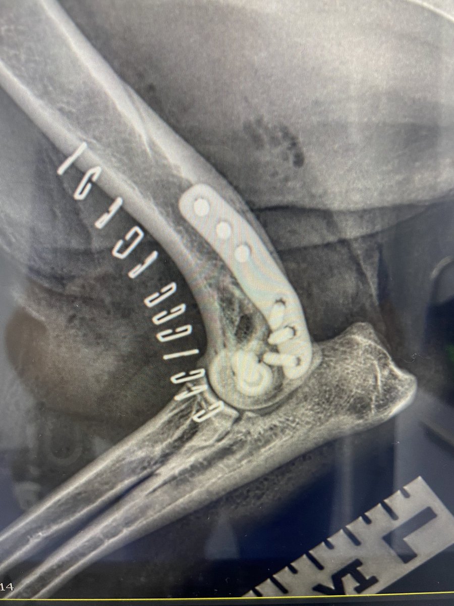 John Innes tweet media