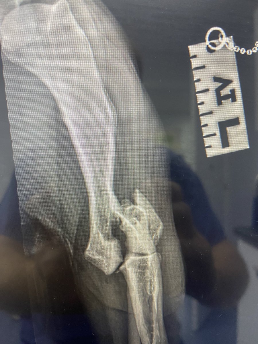 John Innes tweet media