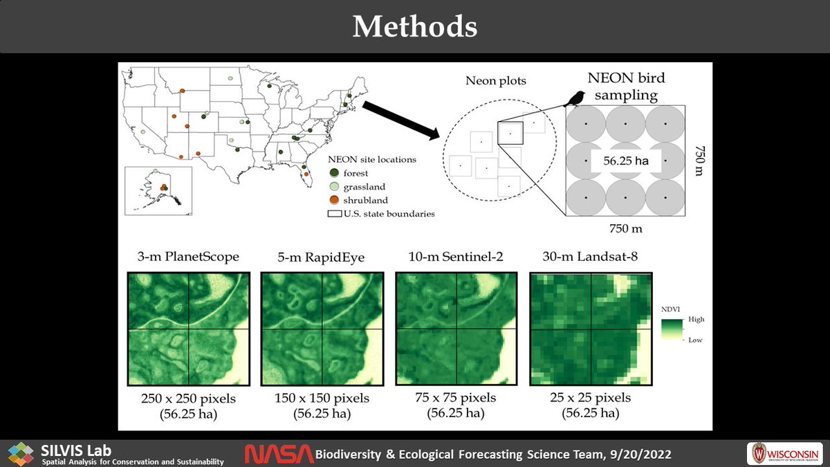 BzGEO's tweet photo. Prof. Volker Radeloff from @UWMadison's @SilvisLab provided some fascinating insights about the utility of integrating multiple #EO datasets like #Landsat, @CopernicusEU #Sentinel2, and @Planet's PlanetScope + RapidEye for habitat mapping.π― #NASABEF #BEF #EarthObservation https://t.co/4DrBXqBHJZ
