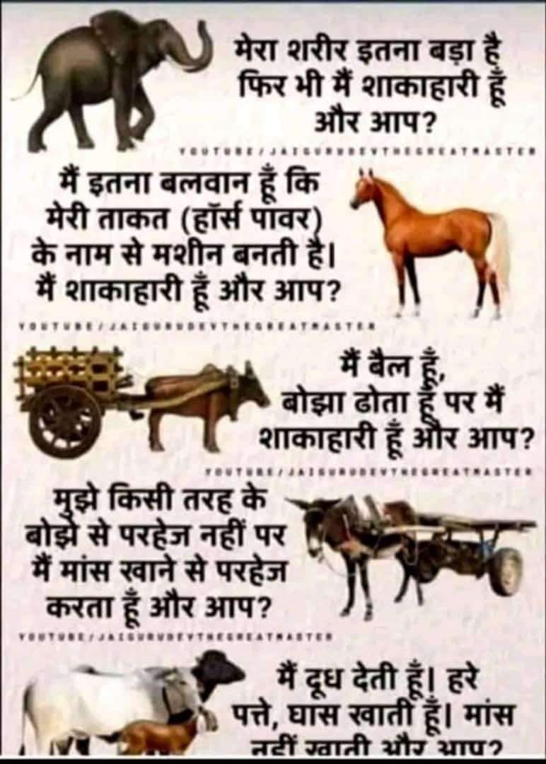 MKTiwar40484249's tweet photo. इस भ्रम को मिटा डालो कि केवल मांसाहारी ही बलवान होते हैं! ये शाकाहारी गवाह हैं! https://t.co/R8sClwG9I6