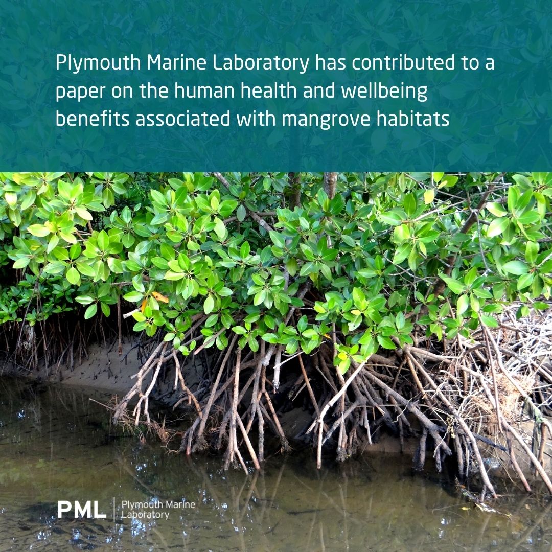 Plymouth Marine Lab tweet media