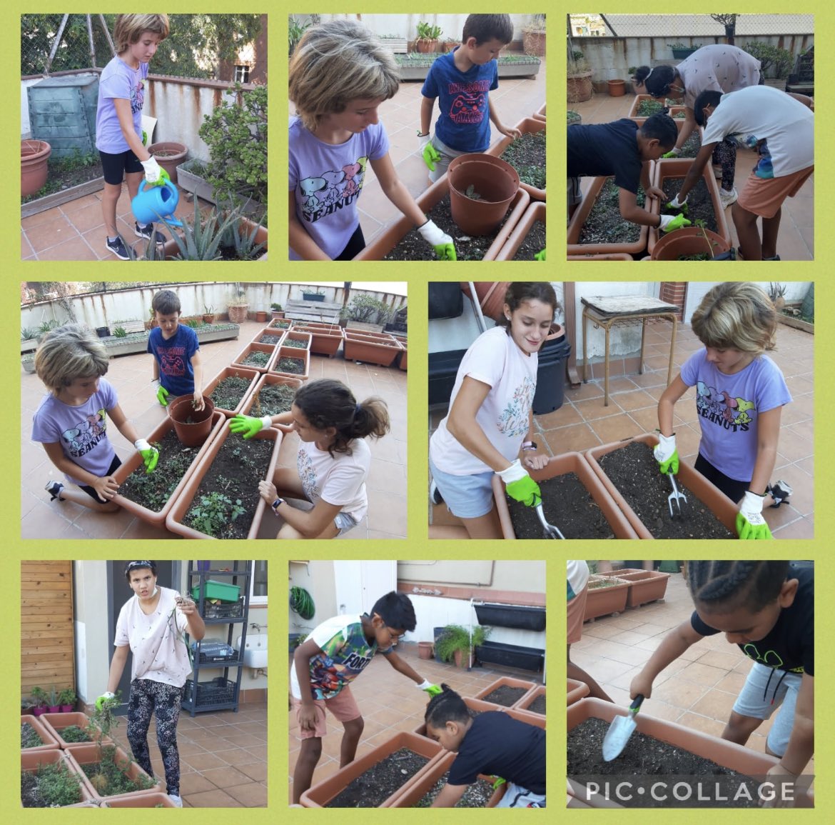 fepmontserratee's tweet photo. Els alumnes del cicle superior de primària hem començat a treballar a l'hort de l'escola. Tenim molta feina!!! #somFEP @escolesFEP https://t.co/8Sw7PRm4pk