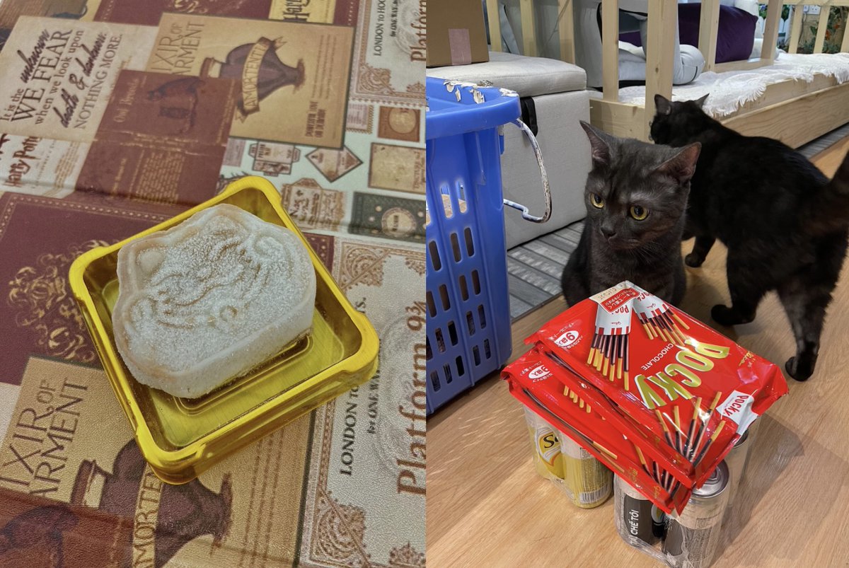 Hong Kong W3B tweet media