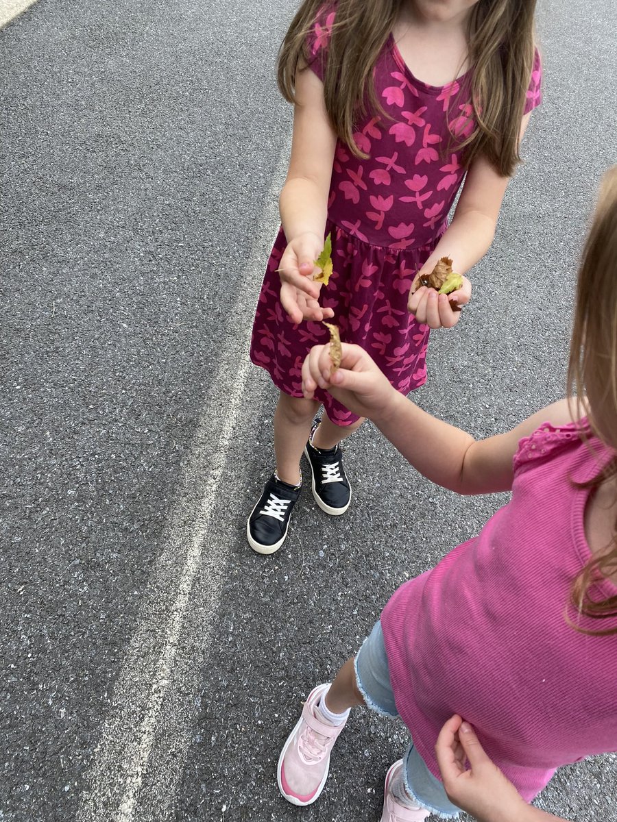 MsLaceyFCPS's tweet photo. We went on a leaf hunt yesterday!🍂 Then we wrote about what our leaves feel, look, smell, or sound like! #SRESroos https://t.co/7Cewl6OpT9
