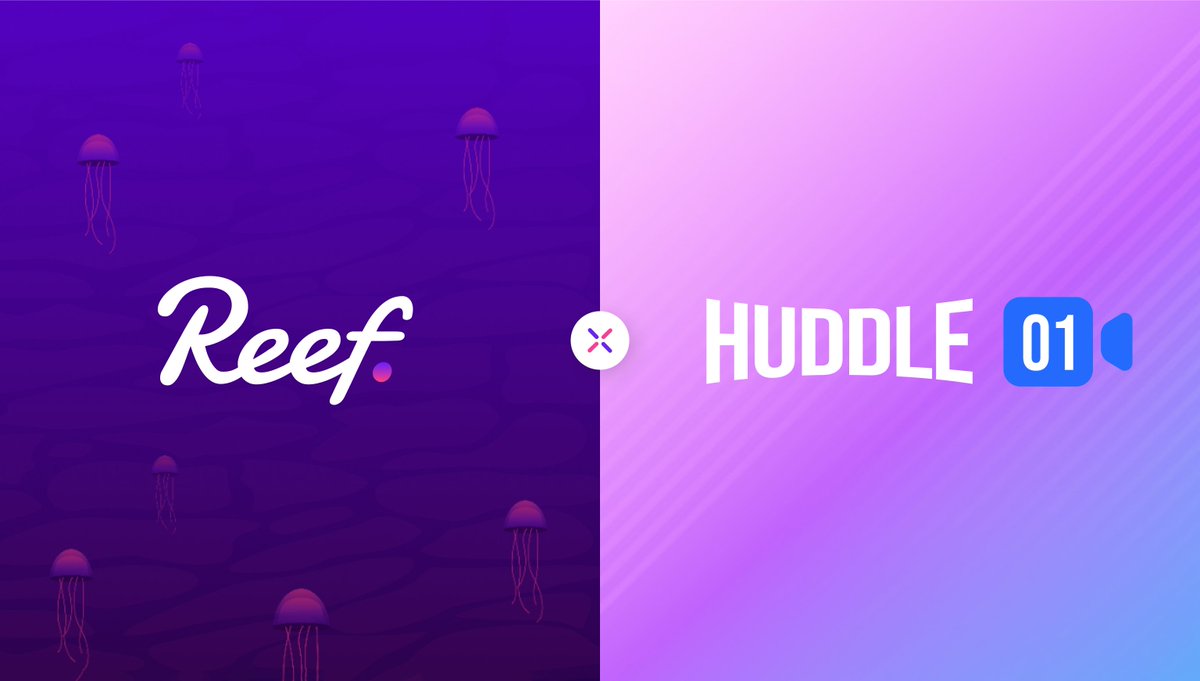 🐠 Reef tweet media