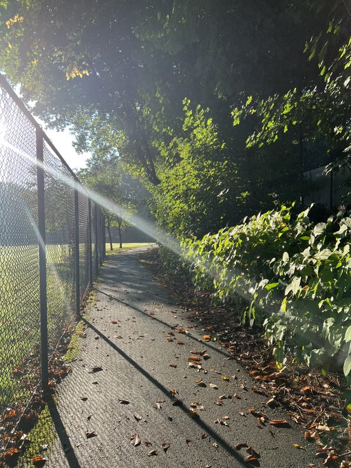 Morning run views 😍 https://t.co/VQptVTzCup<a href="/tag/acnh"class="tags"><span>#acnh</span></a>