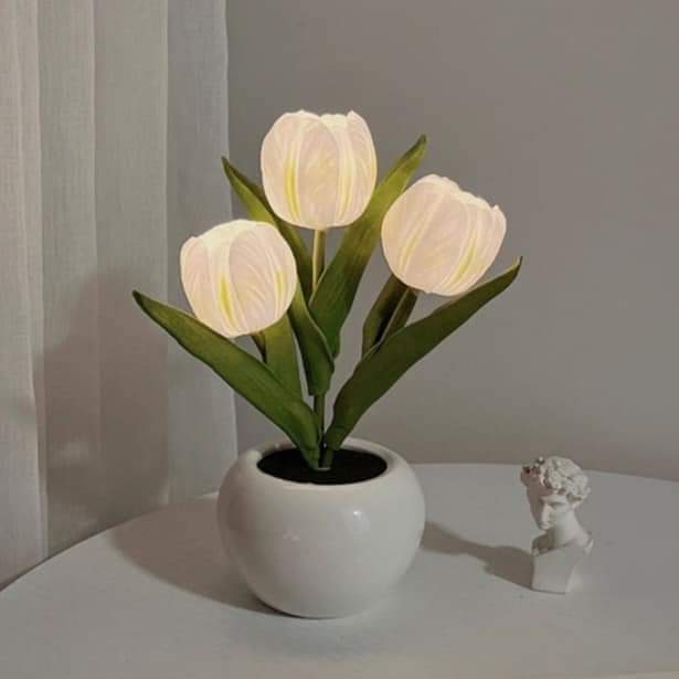 prettiestavenue's tweet photo. tulip night lamps https://t.co/69ABxKJuBG